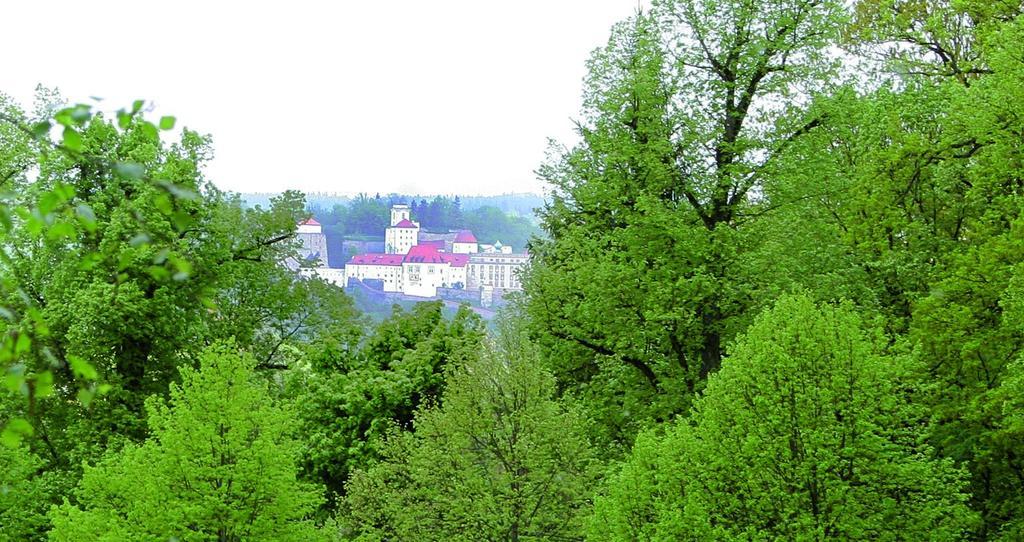 Hotel & Restaurant Waldschloss باساو المظهر الخارجي الصورة